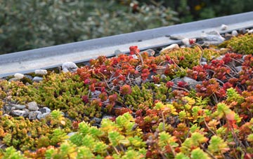 the cost of Eltham green roof installation