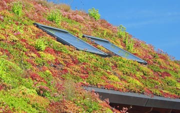 Eltham living roof systems